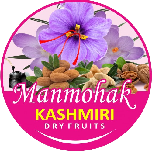 chatgpt image nov 20 2025 12 42 49 pm removebg preview